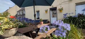 a bench with an umbrella in front of a house at Chez Merlyn in Locarn +7 photos