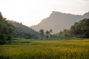 Gallery image of View Valley Homestay in Munnar
