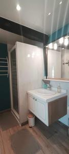 a bathroom with a white sink and a shower at La Fleur de Lys in Moulins +26 photos