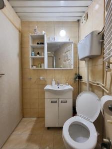 a small bathroom with a toilet and a sink at Apartments Dragulji Kruševac Central Stay in Kruševac