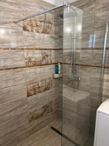 a shower with a glass door in a bathroom at PEP Apartman in Balatonlelle +19 photos
