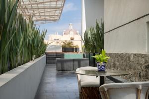 a patio with a table and chairs and plants at La Purificadora, Puebla, a Member of Design Hotels in Puebla