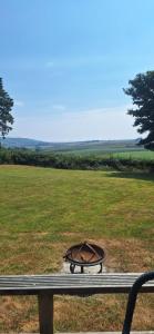 a turtle is sitting on a bench in a field at Pen-Rhos luxury glamping "Cuckoo's Nest" in Llandrindod Wells +6 photos