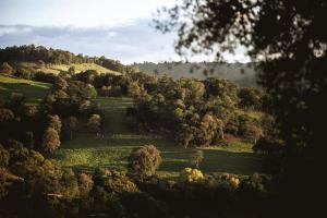 Gallery image of Chalé da Lagoa Serra do Horizonte com Lareira in Coronel Freitas +5 photos