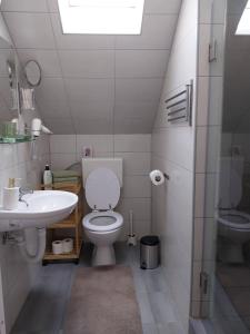 a bathroom with a toilet and a sink at Studioapartment Taiga in Grabovac