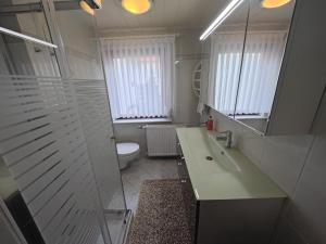 a bathroom with a sink and a toilet and a mirror at Ferienwohnung Siegmund Mitte in Waltershausen