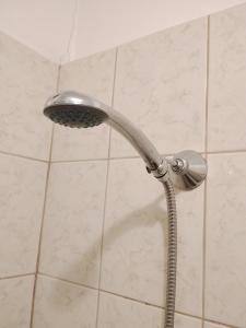 a shower with a shower head in a bathroom at Jaunkemeri in Debeskrogs