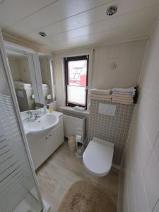 a bathroom with a toilet and a sink and a mirror at Ferienwohnung Siegmund Dachboden in Waltershausen
