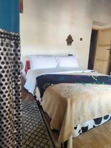 a bedroom with a bed in a room at Le Retour au calme Maison d'hôtes in Tinerhir