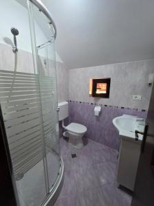 a bathroom with a shower and a toilet and a sink at Pensiunea Casa Maria in Corbeni +73 photos