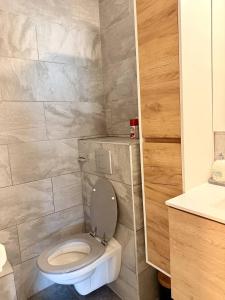 a bathroom with a toilet and a sink at Studio neuf parking proche centre-ville in Chambéry