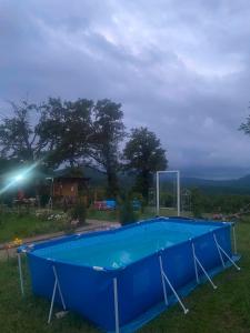 a large blue pool in a yard with a house at Windy Hills in Noga