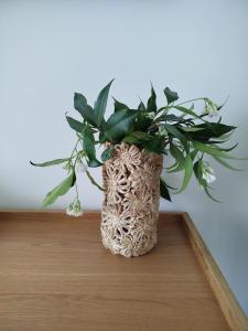 a plant in a vase sitting on a table at Camere DOMOVIEW- design con vista su Cammarata in San Giovanni Gemini