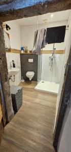 a bathroom with a sink and a toilet at Studio "Werkstatt" in Oberndorf in Oberndorf am Neckar