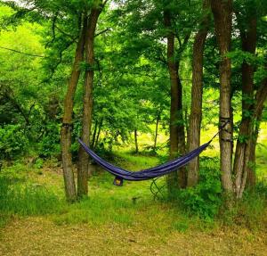 a hammock hanging between two trees in a forest at Loft Dilijan in Dilijan +7 photos