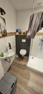 a bathroom with a sink and a toilet at Studio "Werkstatt" in Oberndorf in Oberndorf am Neckar