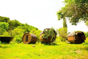 a group of boats sitting in a grass field at Loft Dilijan in Dilijan