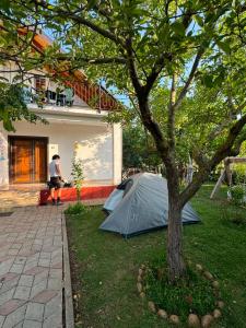 a man sitting on a bench next to a tent next to a tree at Riza Apartment in Pukë