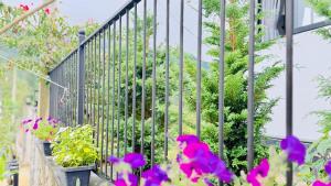 a wrought iron fence with flowers and plants at 007Dickoya in Dikoya