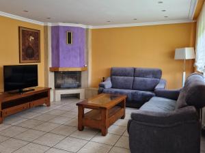 a living room with a couch and a tv at Fuenteazul in Hortigüela