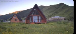 a house in a field with mountains in the background at Cottage MTIS DZIRSHI in Ach'khoti