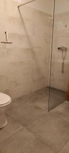 a bathroom with a shower and a toilet at Agroturystyka Stasin in Trojanów