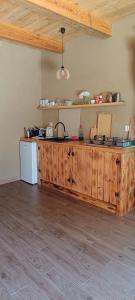 a kitchen with wooden cabinets and a counter top at Agroturystyka Stasin in Trojanów