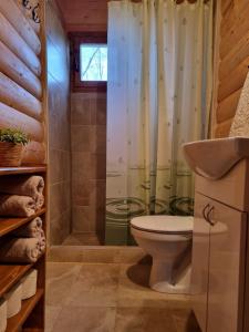 a bathroom with a shower with a toilet and a sink at Brvnara Dina in Železnička Stanica Dolovo +7 photos