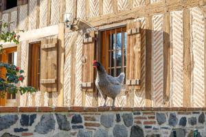 a chicken standing on the ledge of a building at Location Le Penan in Léon