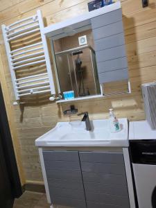 a bathroom with a sink and a mirror at Cottage MTIS DZIRSHI in Ach'khoti +16 photos