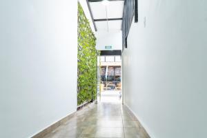 a hallway in a building with a plant on the wall at Hotel Tayronaka in Santa Marta