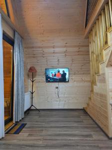 a room with a television in a wooden wall at Cottage MTIS DZIRSHI in Ach'khoti