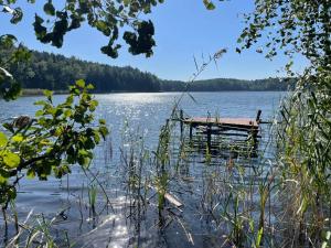 a wooden dock in the middle of a lake at Apartament Żurawie in Jastrowie +6 photos