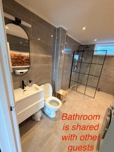 a bathroom with a toilet and a sink and a shower at Panoramic Room with Sea View in Hundsnes