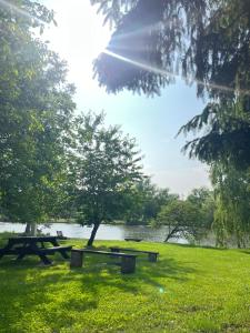 a picnic table in a park next to a lake at Sklípek Glosovi in Hovorany