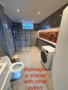 a bathroom with a shower and a toilet and a sink at Panoramic Room with Sea View in Hundsnes