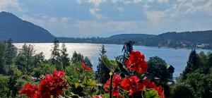 a view of a body of water with red flowers at Ferienpension Garni in Sankt Kanzian