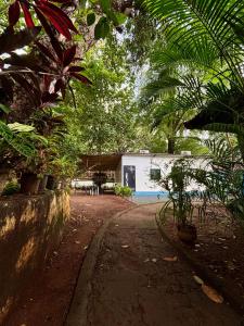 a yard with a house with trees and plants at Bela Blue Stays in Bardez