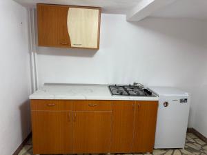 a kitchen with a stove and a white refrigerator at Casa din Deal in Runc +19 photos
