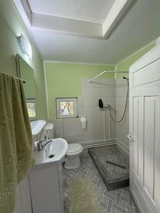 a bathroom with a sink and a toilet and a shower at Casa din Deal in Runc