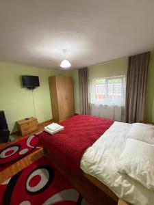 a bedroom with a large bed with a red blanket at Casa din Deal in Runc
