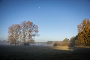 a field with trees and fog in the distance at 110 Tiny House mit traumhaftem Blick über die Wiese in Bleckede +12 photos