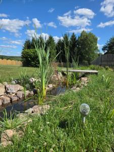 a garden with a pond and a bench at Apartament 1 w Leśnym Zaciszu in Czertyń