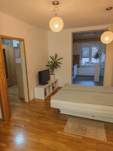 a bedroom with a bed and a television in it at Apartma 198 in Kranjska Gora