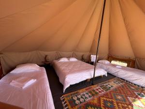 three beds in a tent with a rug at Parque De Campismo Orbitur Sao Pedro De Moel in São Pedro de Moel +62 photos