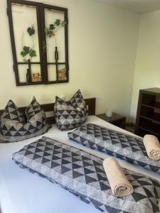 a bedroom with two beds with checkered pillows at Sklípek Glosovi in Hovorany +4 photos