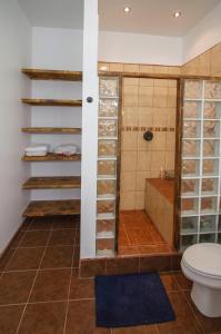 a bathroom with a shower and a toilet at Ocean Front Baja Vacation in Rosarito
