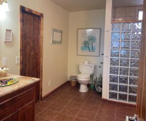 a bathroom with a toilet and a sink and a counter at Ocean Front Baja Vacation in Rosarito