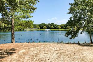 a group of ducks swimming on a lake at Assateague Point - Bay Breeze in Berlin