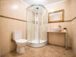 a bathroom with a shower and a toilet and a sink at Nika Apart hotel in Riga